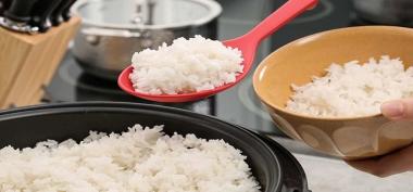 Amankah Melakukan Diet Tanpa nasi?