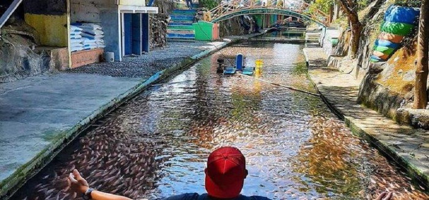 Tak Bersampah Lagi, Yuk Tengok Keindahan Sungai Watergong Klaten Ini!