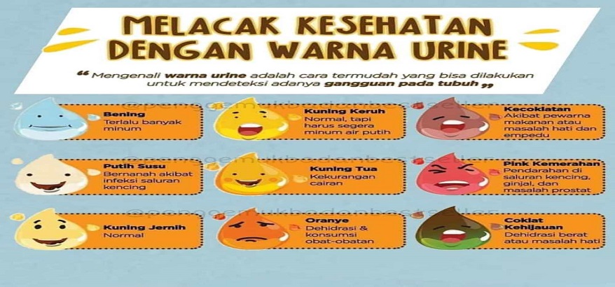 Apa Yang Dikatakan oleh Warna Urine Mengenai Kesehatan Anda?